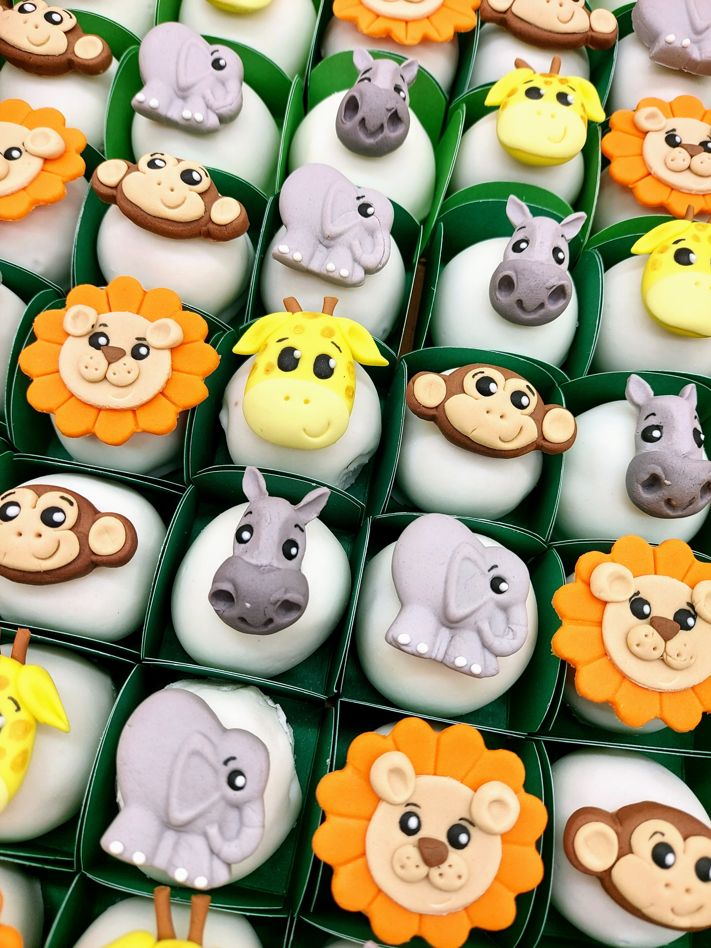 Docinho Glaceado Safari