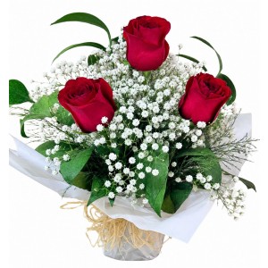 Arranjo de Rosas