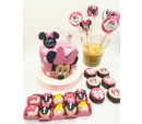 Kit festa Minnie